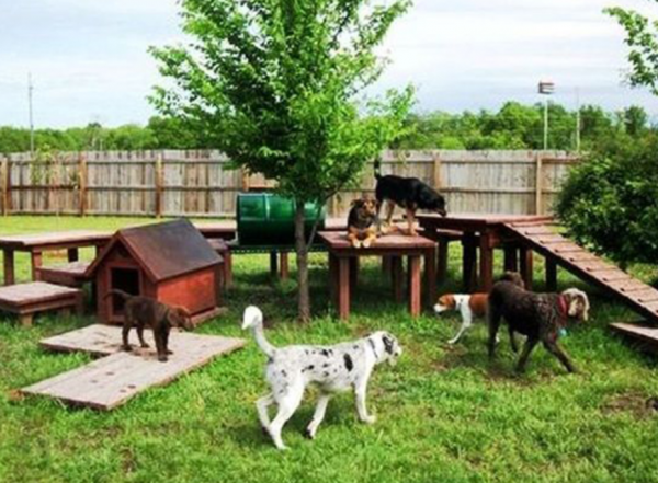 Taman dengan area bermain untuk hewan peliharaan